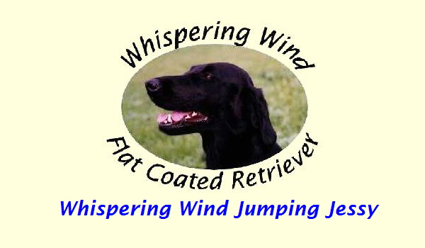 Whispering Wind Jumping Jessy