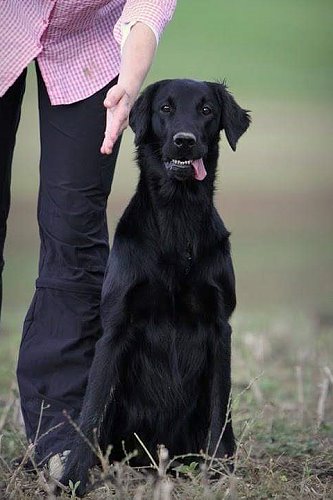 DoryInMemoriam1 DoryInMemoriam1