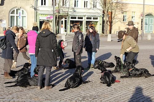 JWurfTreffen20170205-8