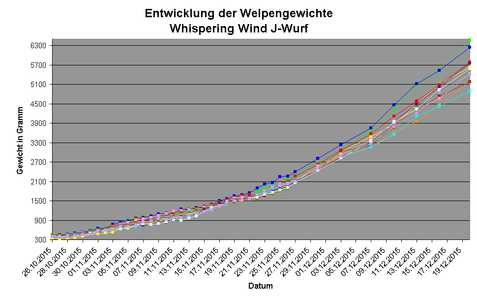 Entwicklung der Welpengewichte
Whispering Wind J-Wurf