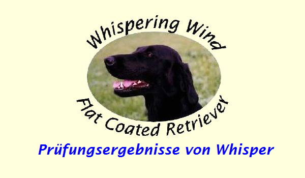 Prfungsergebnisse von Whisper